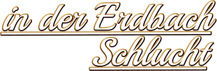 in der Erdbach Schlucht