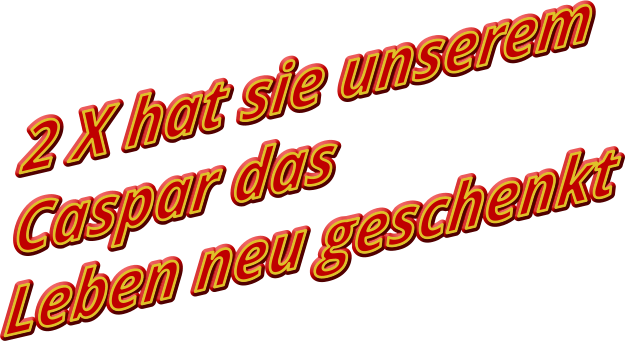 2 X hat sie unserem Caspar das Leben neu geschenkt