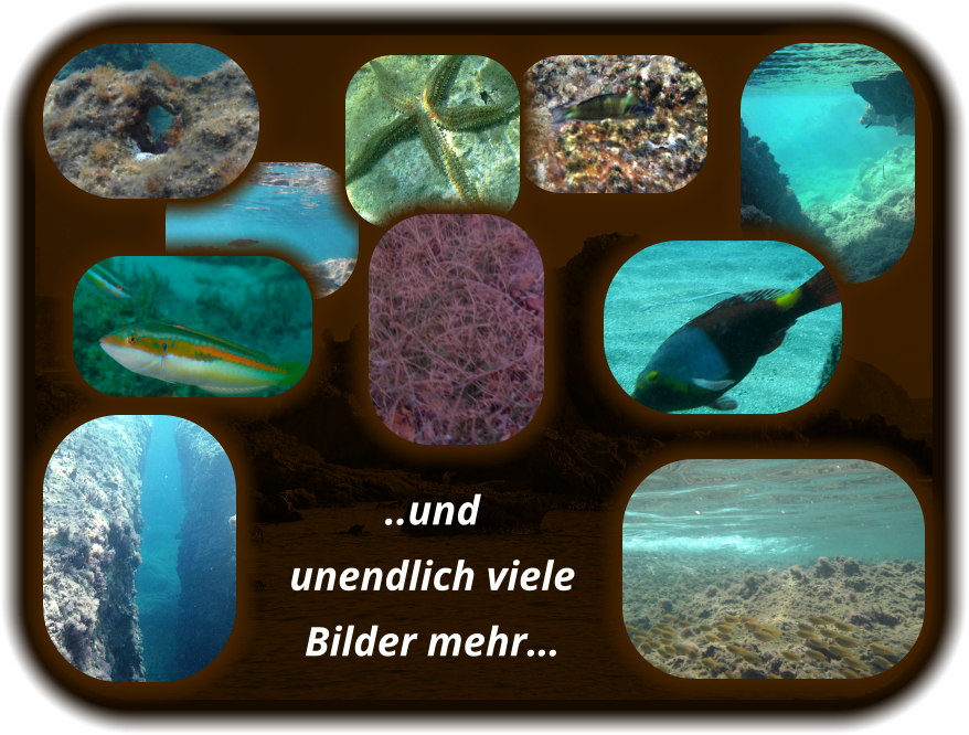 ..und  unendlich viele  Bilder mehr…