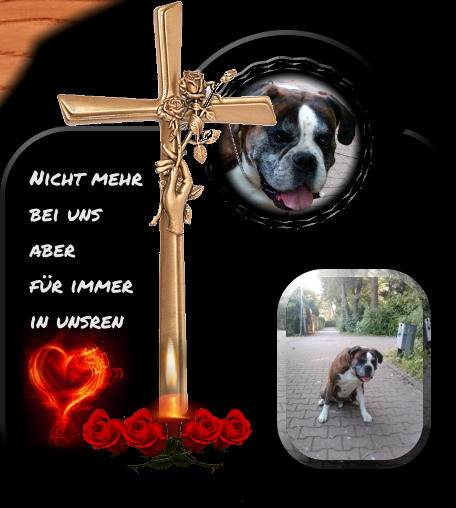Nicht mehr  bei uns  aber für immer  in unsren
