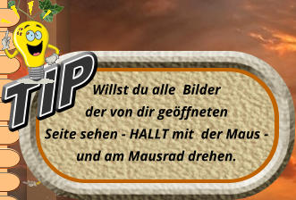 Willst du alle  Bilder  der von dir geöffneten Seite sehen - HALLT mit  der Maus - und am Mausrad drehen. TIP