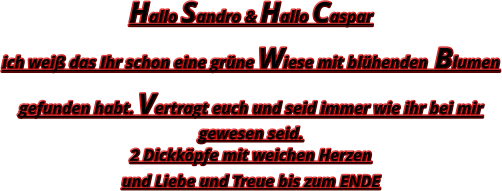 Hallo Sandro & Hallo Caspar  ich weiß das Ihr schon eine grüne Wiese mit blühenden Blumen  gefunden habt. Vertragt euch und seid immer wie ihr bei mir gewesen seid. 2 Dickköpfe mit weichen Herzen  und Liebe und Treue bis zum ENDE